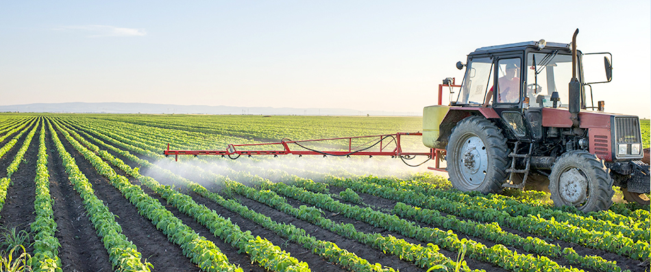 少妇真人直播免费视频