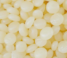 少妇真人直播免费视频