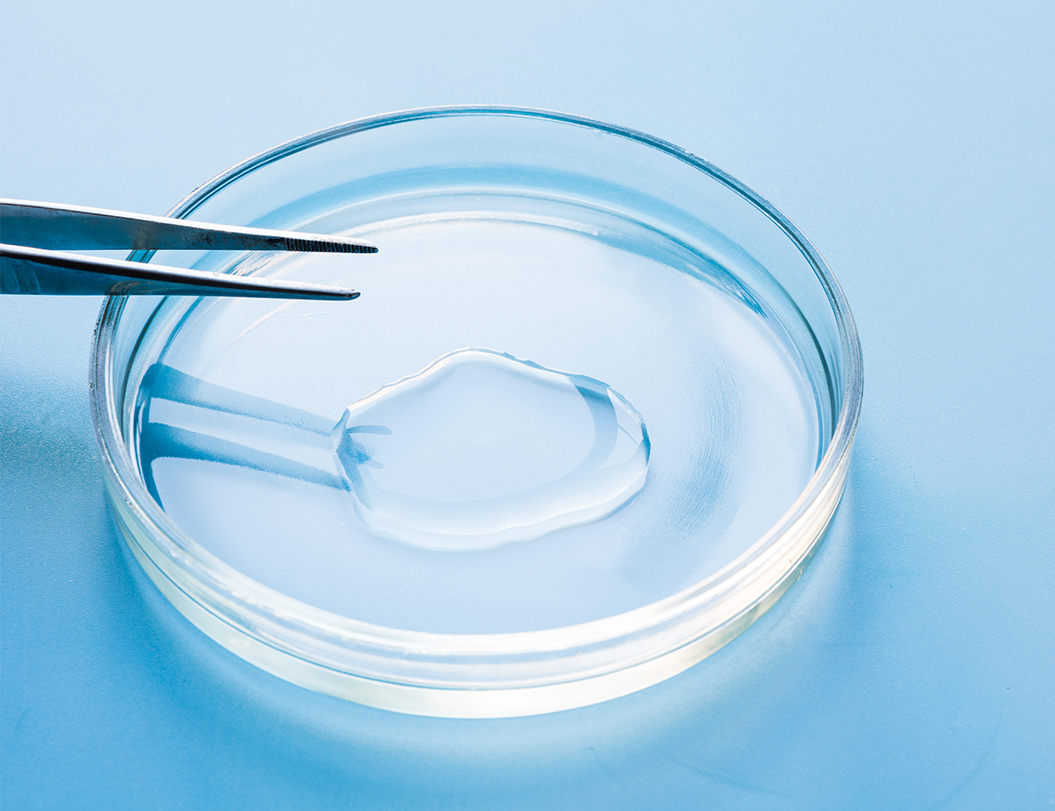 少妇真人直播免费视频