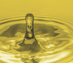 少妇真人直播免费视频