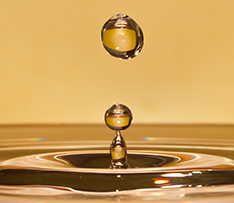 少妇真人直播免费视频