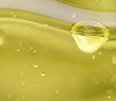 少妇真人直播免费视频