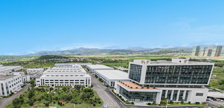 少妇真人直播免费视频