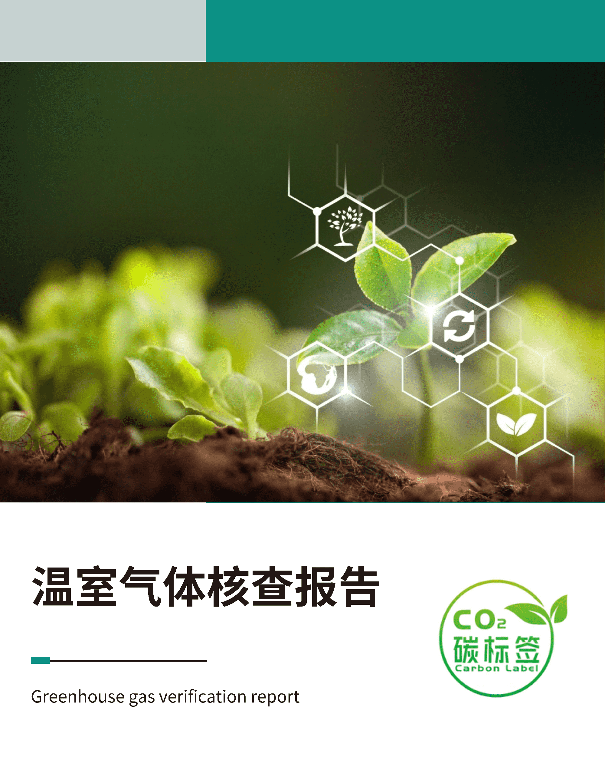 少妇真人直播免费视频