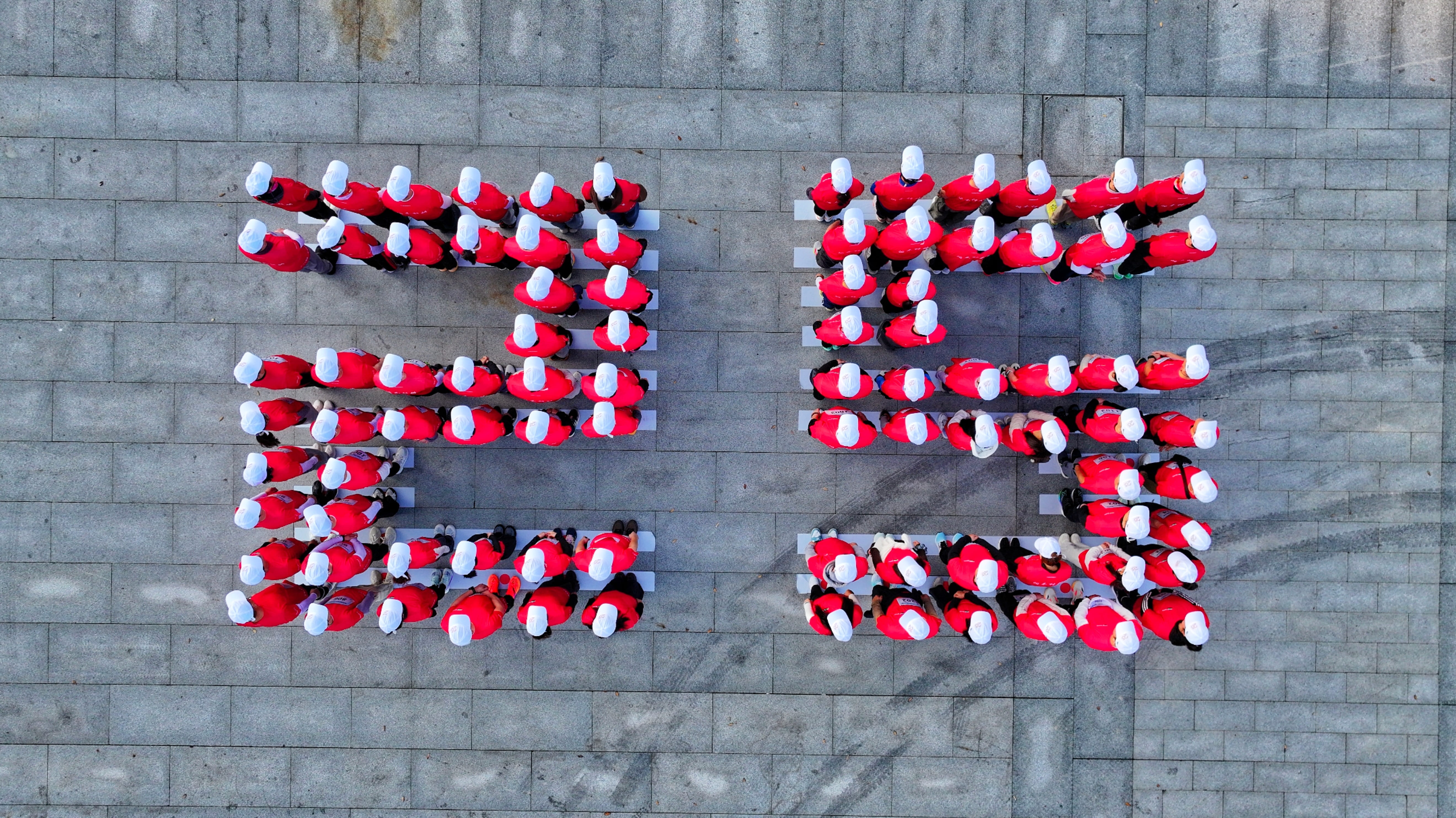 少妇真人直播免费视频